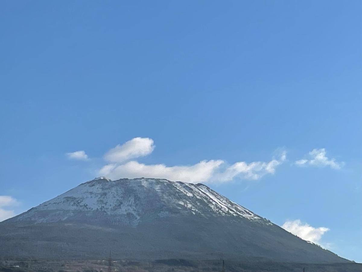 Bellevue Herculaneum B&B Ерколано Екстериор снимка